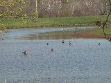 Memory park camping grounds.
