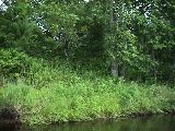 St. Croix Scenic Riverway